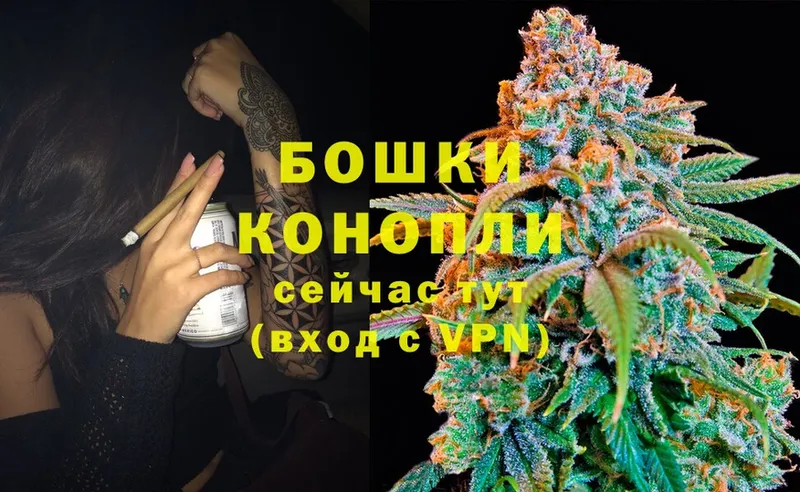 цена наркотик  Болотное  Бошки марихуана White Widow 